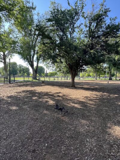 Pioneer Dog Park - Salt Lake City, UT