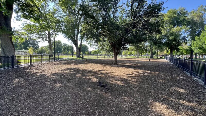Pioneer Dog Park - Salt Lake City, UT