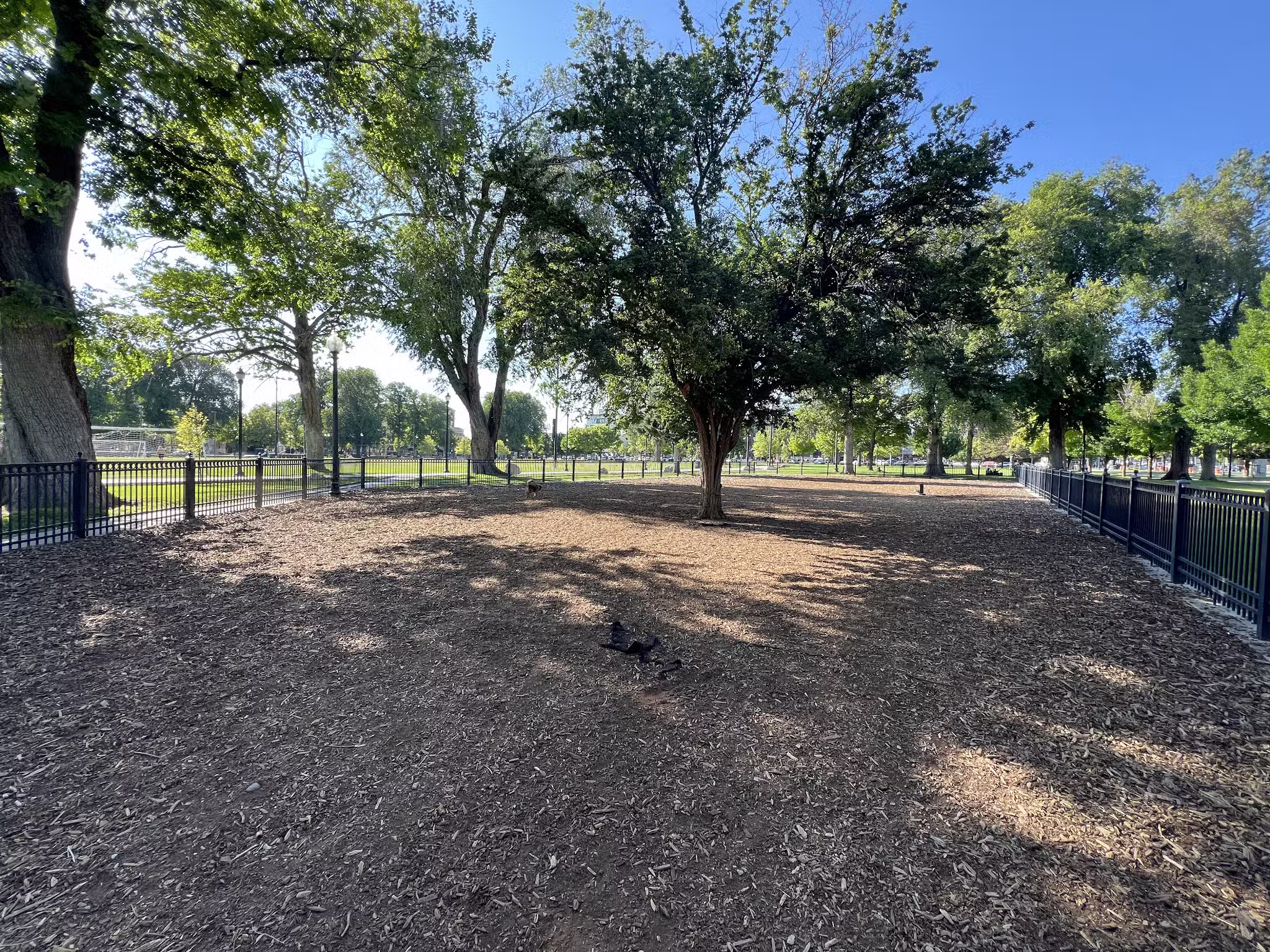 Pioneer Dog Park - Salt Lake City, UT