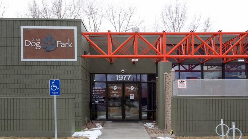 Utah Dog Park Airport, A Thrive Pet Healthcare Partner - Salt Lake City, UT