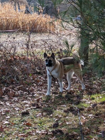 Helen Aldrich Park - Salt Point, NY