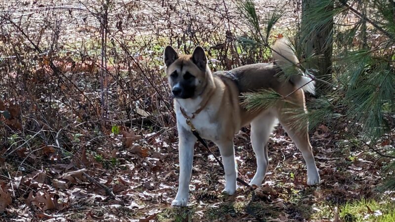 Helen Aldrich Park - Salt Point, NY