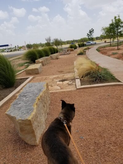 San Angelo Dog Park - San Angelo, TX