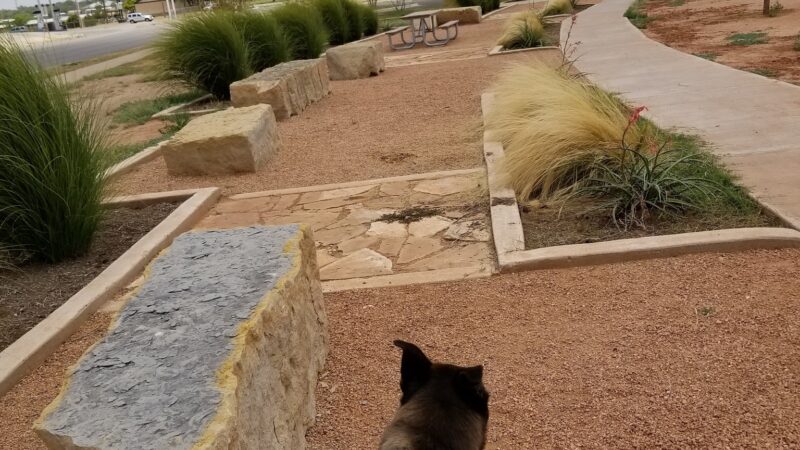 San Angelo Dog Park - San Angelo, TX