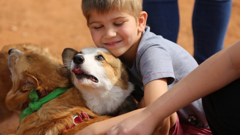 San Angelo Dog Park - San Angelo, TX