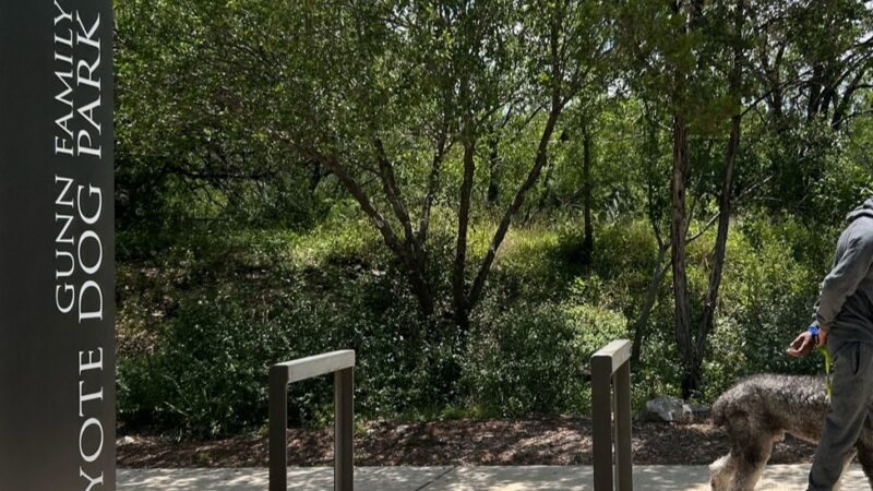 Coyote Dog Park - San Antonio, TX