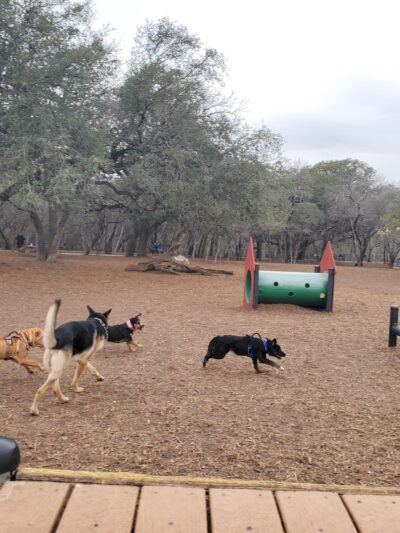 McAllister Dog Park - San Antonio, TX