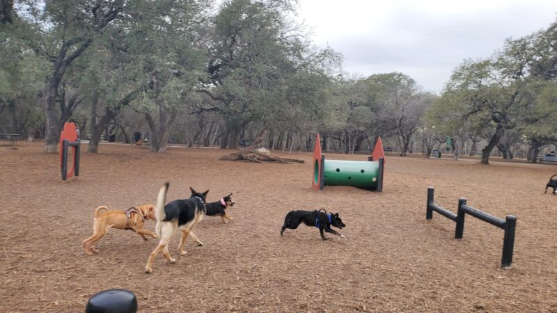 McAllister Dog Park - San Antonio, TX