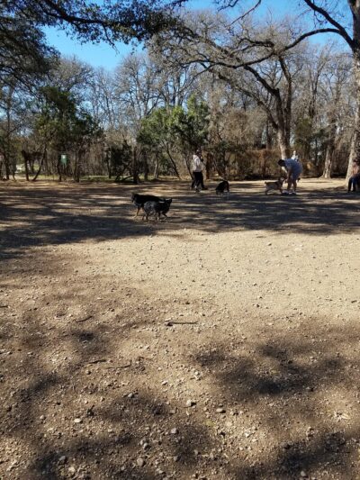 Olmos Park Dog Park - San Antonio, TX