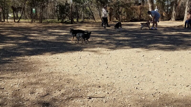 Olmos Park Dog Park - San Antonio, TX