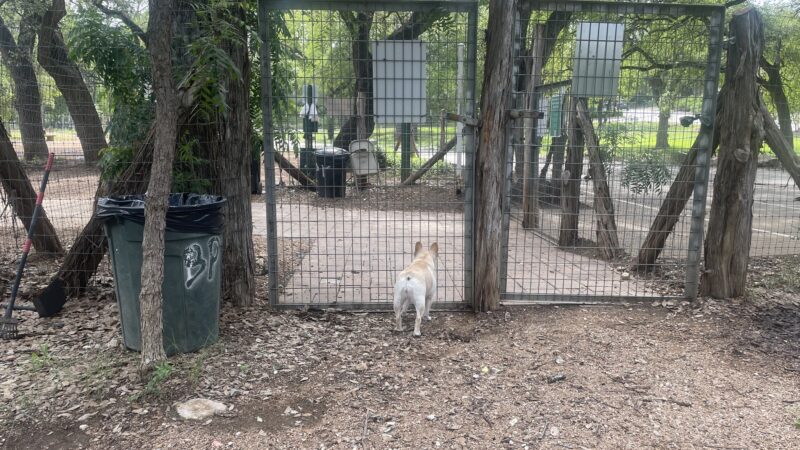 Olmos Park Dog Park - San Antonio, TX