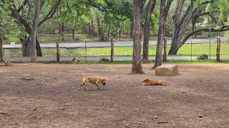 Olmos Park Dog Park - San Antonio, TX