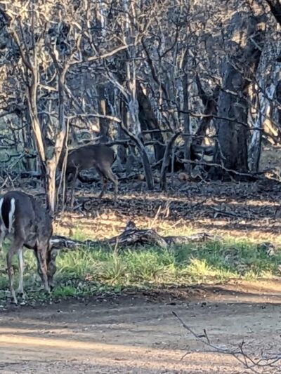Phil Hardberger Park - San Antonio, TX