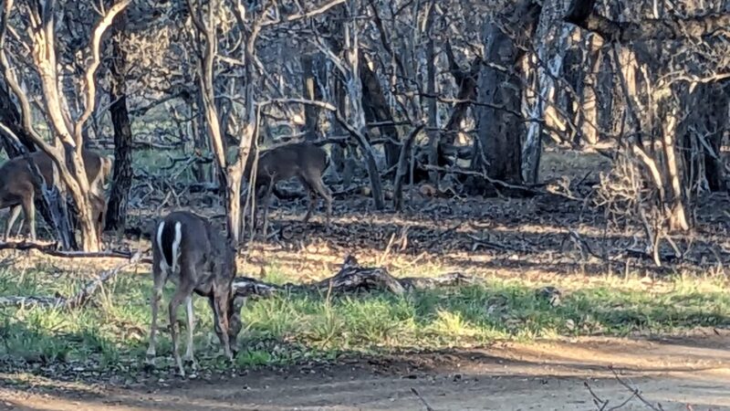 Phil Hardberger Park - San Antonio, TX