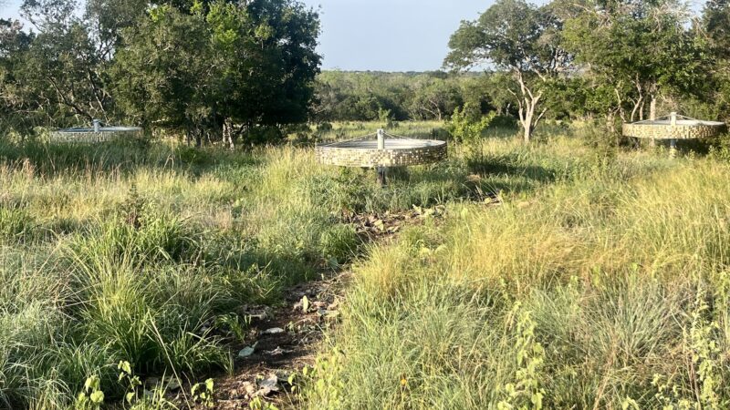 Phil Hardberger Park - San Antonio, TX