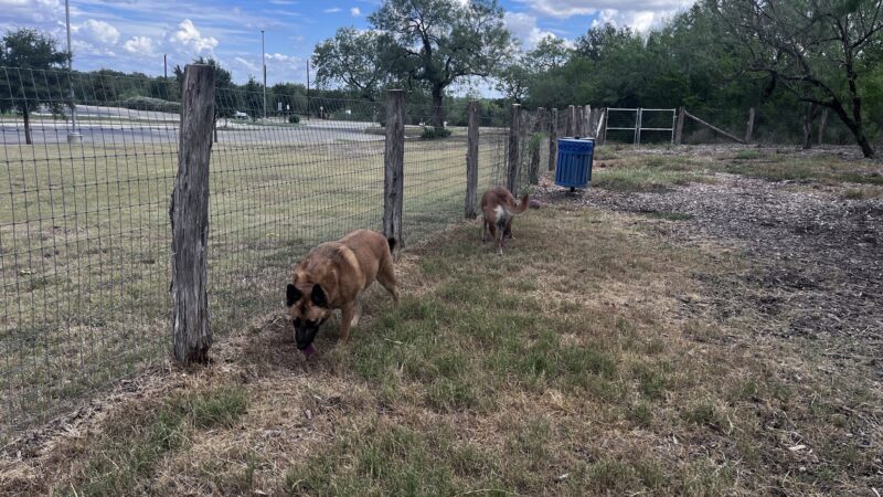Southside Lions Dog Park - San Antonio, TX