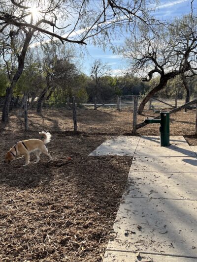 Southside Lions Dog Park - San Antonio, TX