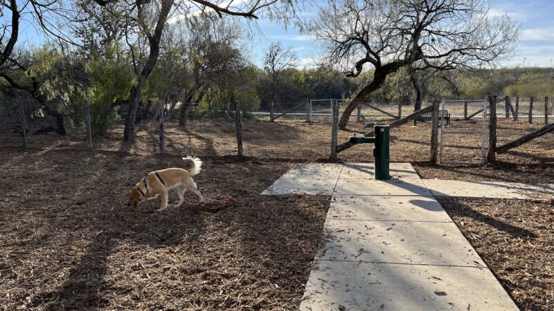 Southside Lions Dog Park - San Antonio, TX