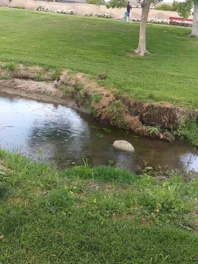 Colony Park - San Bernardino, CA