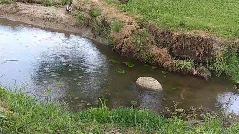 Colony Park - San Bernardino, CA