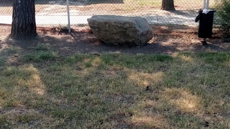 Dog Park at Seccombe Lake - San Bernardino, CA