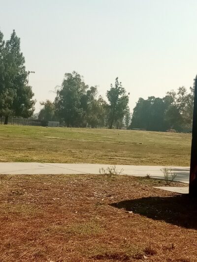 Dog Park at Seccombe Lake - San Bernardino, CA