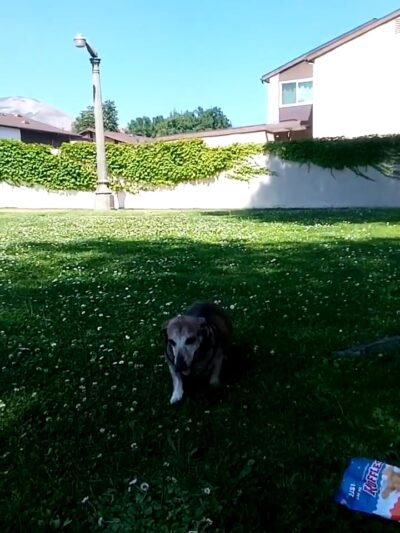 Sterling Park - San Bernardino, CA