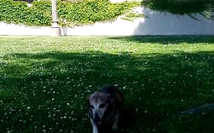 Sterling Park - San Bernardino, CA