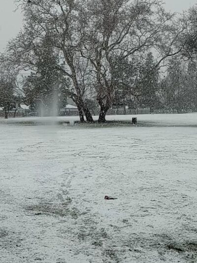 Wildwood Park - San Bernardino, CA
