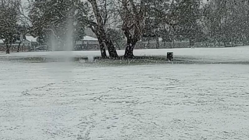 Wildwood Park - San Bernardino, CA
