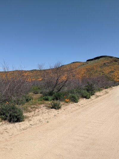 San Carlos Apache Skate Park - San Carlos, AZ
