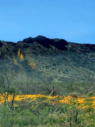 San Carlos Apache Skate Park - San Carlos, AZ