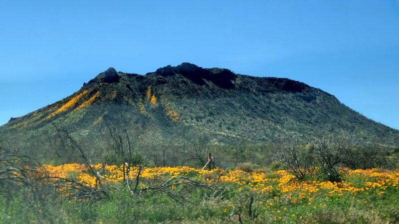 San Carlos Apache Skate Park - San Carlos, AZ
