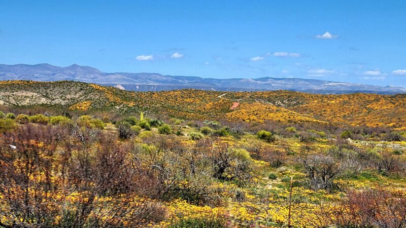 San Carlos Apache Skate Park - San Carlos, AZ
