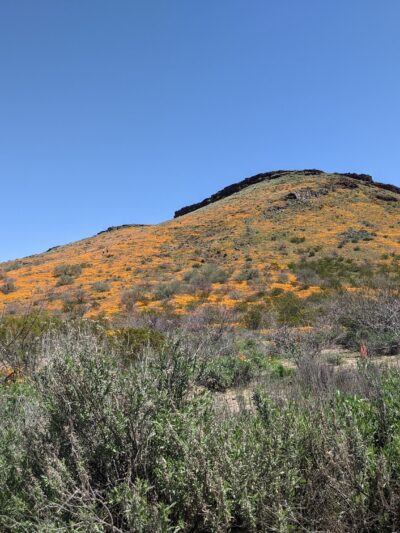 San Carlos Apache Skate Park - San Carlos, AZ