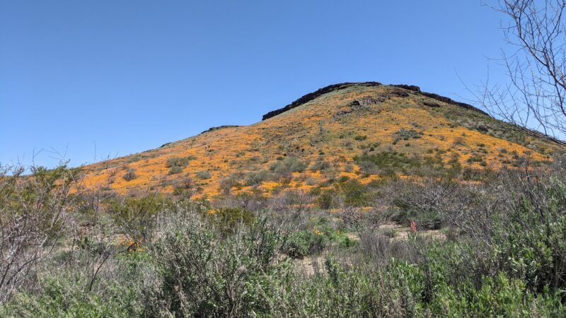 San Carlos Apache Skate Park - San Carlos, AZ