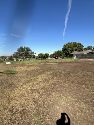 Allied Gardens Dog Park - San Diego, CA