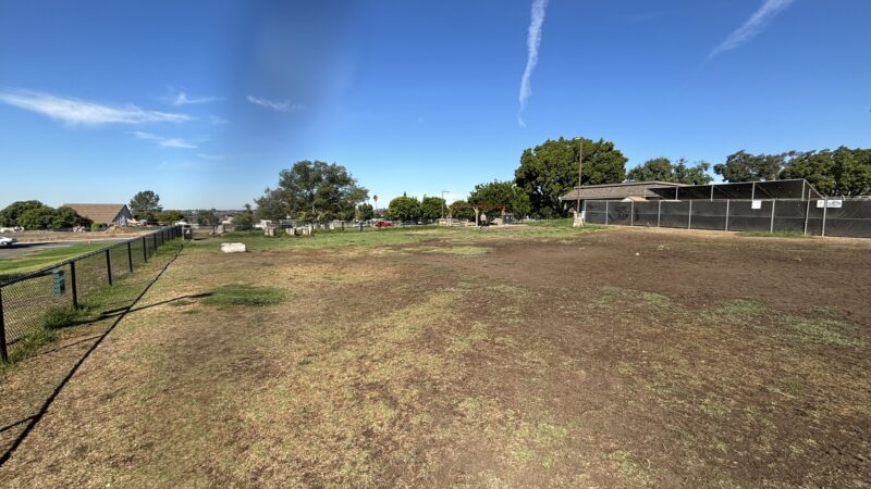 Allied Gardens Dog Park - San Diego, CA