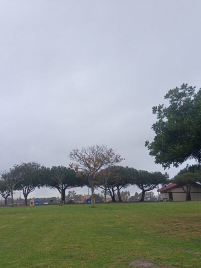 Doyle Dog Park - San Diego, CA