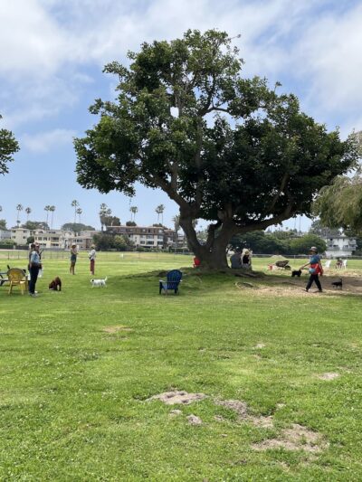Dusty Rhodes Park - San Diego, CA