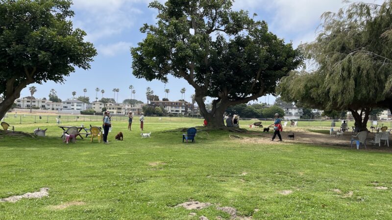Dusty Rhodes Park - San Diego, CA