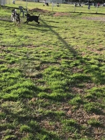 Dusty Rhodes Park - San Diego, CA