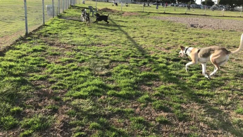 Dusty Rhodes Park - San Diego, CA