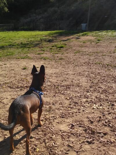Nobel Leash-Free Park - San Diego, CA