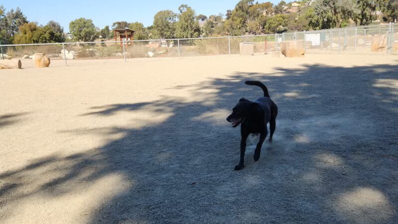 Paradise Hills Dog Park - San Diego, CA