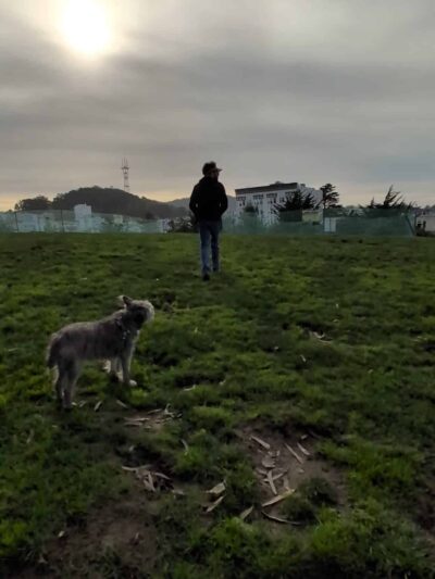 Alamo Square Dog Play Area - San Francisco, CA