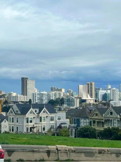 Alamo Square Dog Play Area - San Francisco, CA