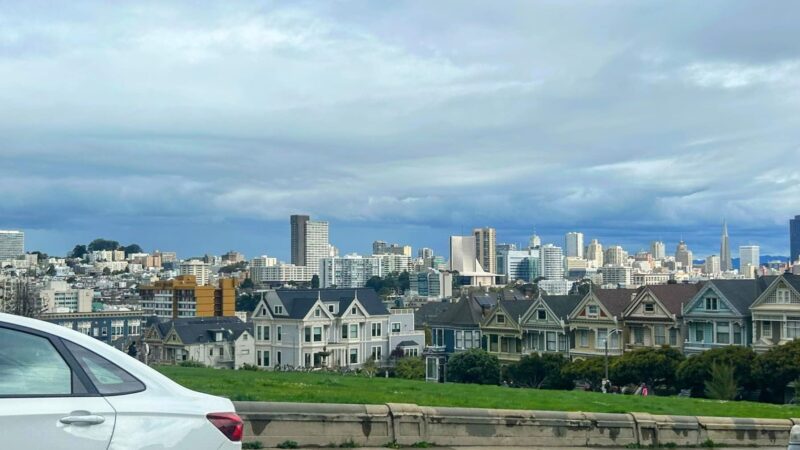 Alamo Square Dog Play Area - San Francisco, CA
