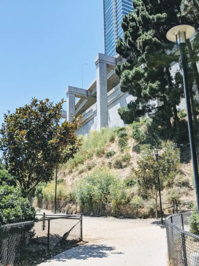 Rincon Hill Dog Park - San Francisco, CA