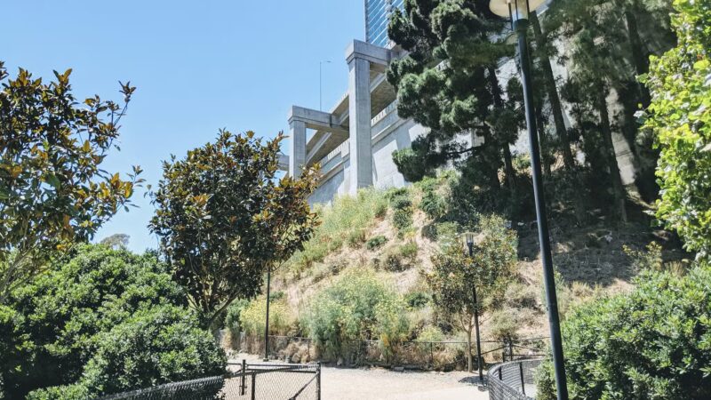 Rincon Hill Dog Park - San Francisco, CA
